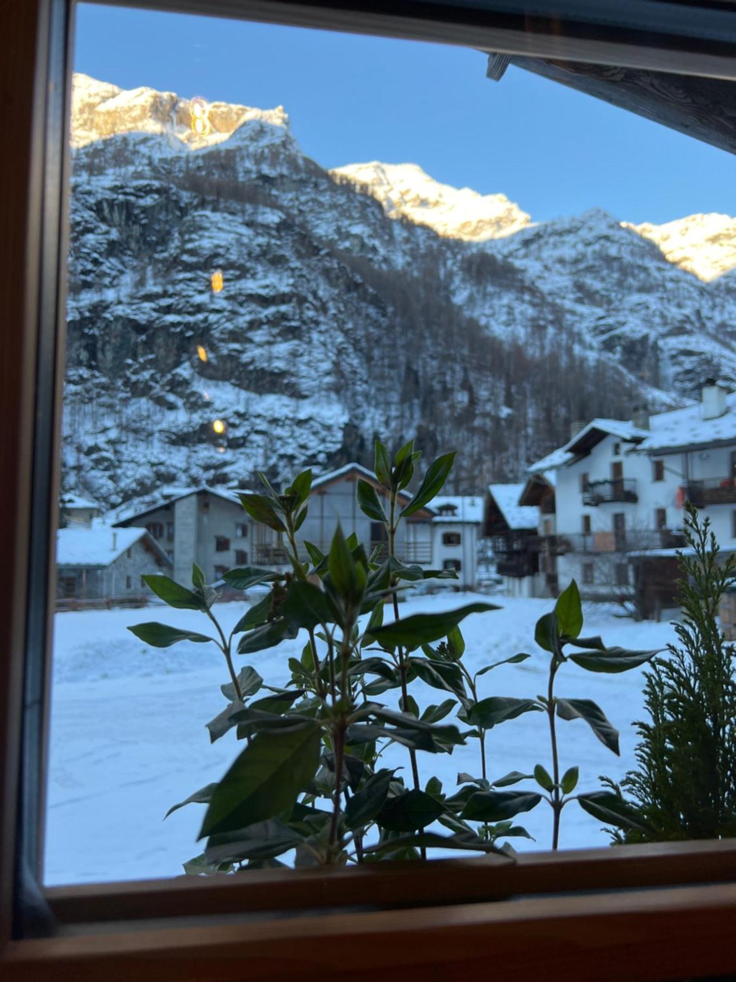 Hotel Wongade Gressoney-la-Trinité Zewnętrze zdjęcie