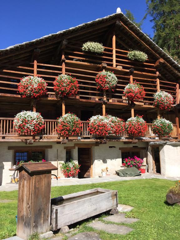 Hotel Wongade Gressoney-la-Trinité Zewnętrze zdjęcie